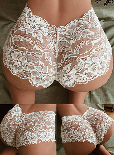 Women's High Waist Panties – Floral Lace / Sheer Bootie Cut